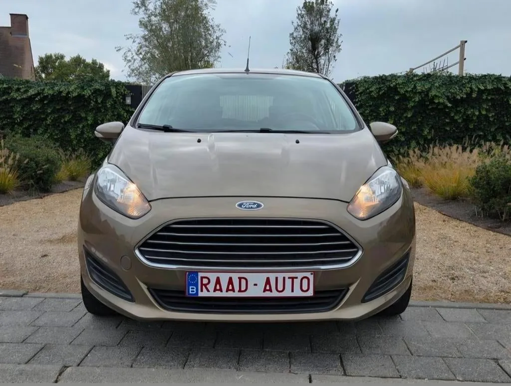Ford Fiesta, foto 1 van 21