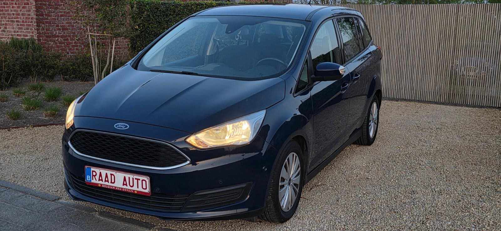 Ford Grand C-Max, foto 1 van 24