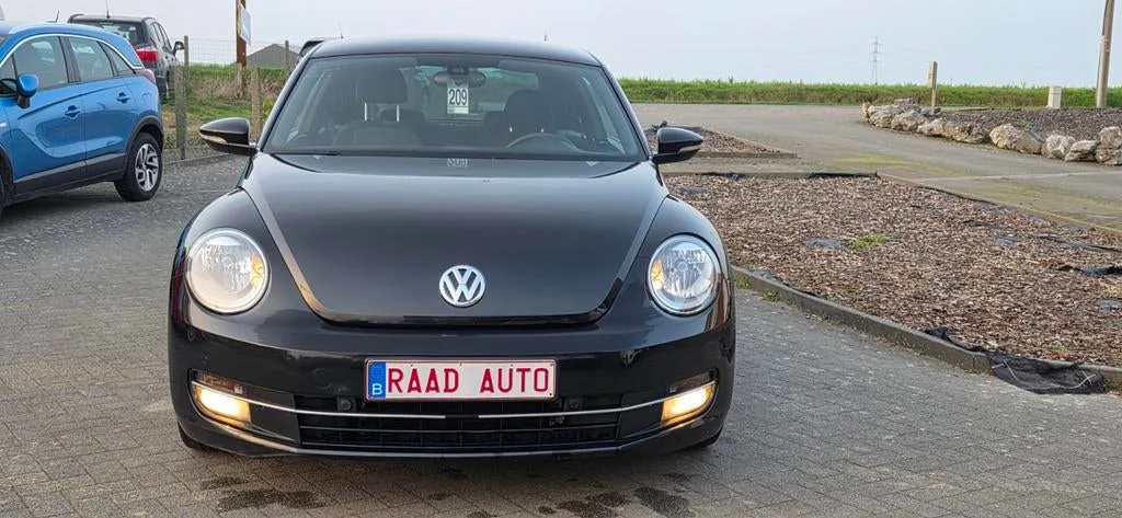 Volkswagen بيتل، الصورة 1 من 19